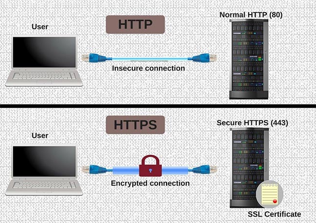HTTP và HTTPS hoạt động như thế nào ?